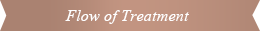 Flow of Treatment 