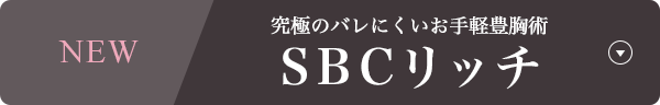 SBCリッチ