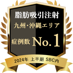 2024年上期 九州・沖縄 脂肪吸引注射 1位