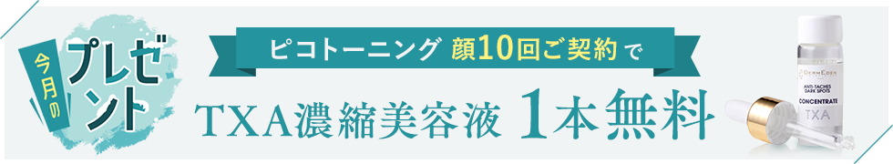今月のキャンペーン