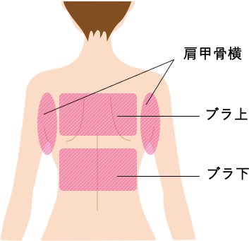 対応部位(背)