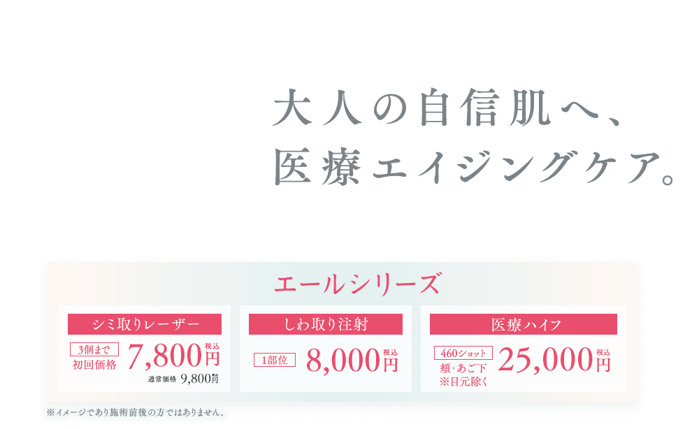 エールシリーズ