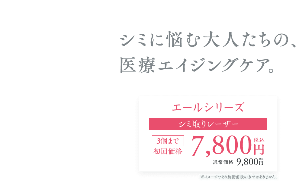 エールシリーズ