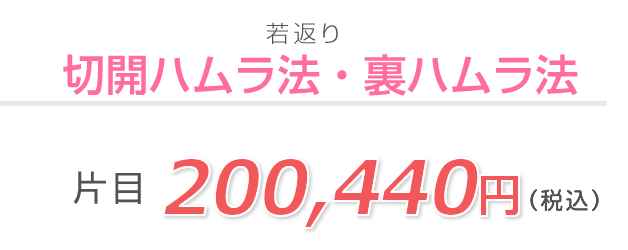 切開ハムラ法、裏ハムラ法