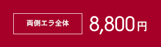 両側エラ全体9,720円